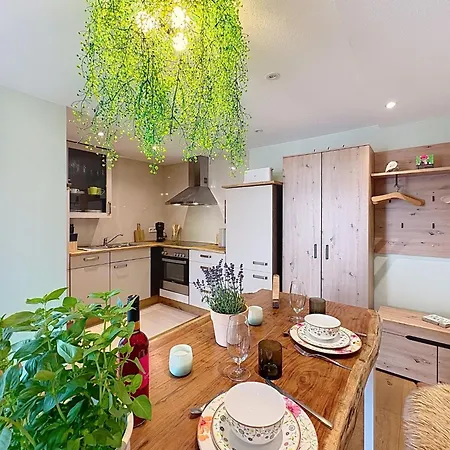 Bionestlein Premium-appartment Mit Sauna By Interhome Apartment Goschweiler